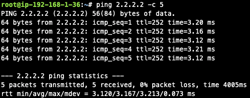 managed_cloudn_traffic_flow_verification_cloud_vm_issue_icmp