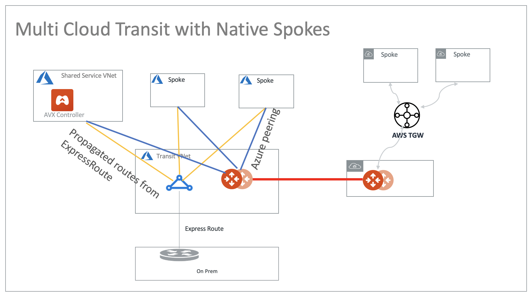 multi_cloud_transit_native