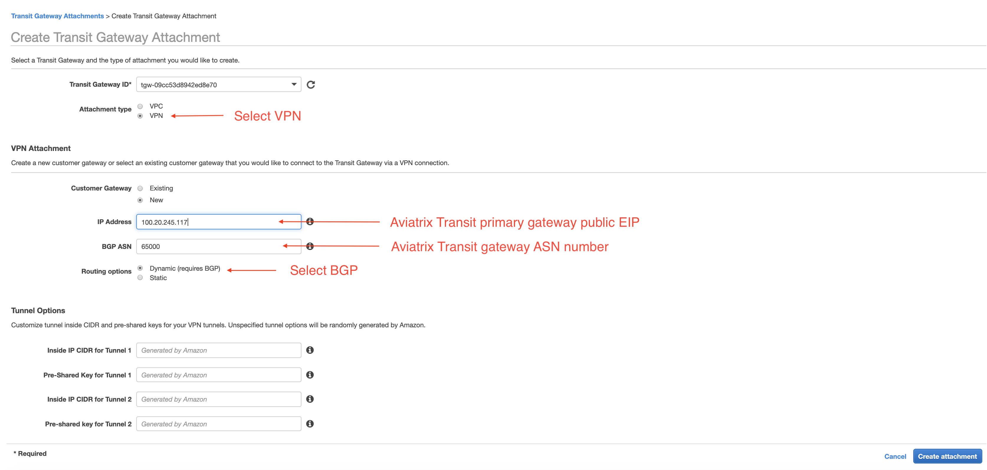 tgw_vpn_config